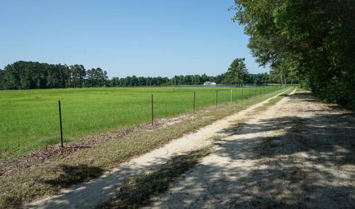 Photo of SOLD!!  187 Acres of Farm and Residential Land For Sale in Robeson County NC!