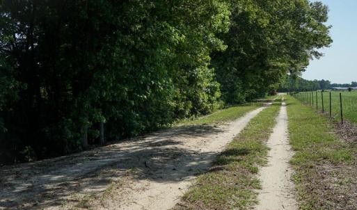 Photo of SOLD!!  187 Acres of Farm and Residential Land For Sale in Robeson County NC!