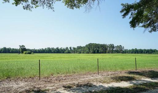 Photo of SOLD!!  187 Acres of Farm and Residential Land For Sale in Robeson County NC!
