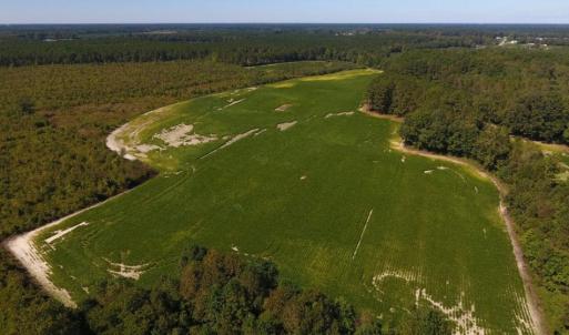 Photo of UNDER CONTRACT!  90.5 Acres of Farm and Hunting Land For Sale in Hertford County NC!