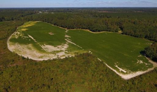 Photo of UNDER CONTRACT!  90.5 Acres of Farm and Hunting Land For Sale in Hertford County NC!