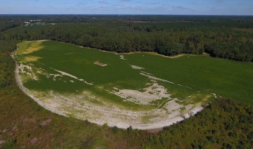 Photo of UNDER CONTRACT!  90.5 Acres of Farm and Hunting Land For Sale in Hertford County NC!