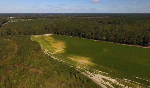 Photo of UNDER CONTRACT!  90.5 Acres of Farm and Hunting Land For Sale in Hertford County NC!