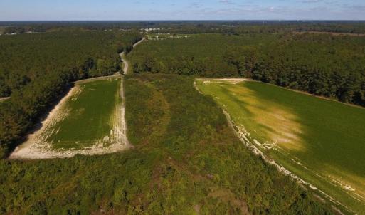 Photo of UNDER CONTRACT!  90.5 Acres of Farm and Hunting Land For Sale in Hertford County NC!