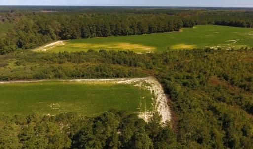 Photo of UNDER CONTRACT!  90.5 Acres of Farm and Hunting Land For Sale in Hertford County NC!