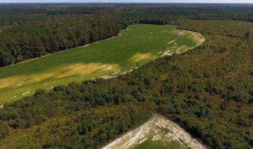 Photo of UNDER CONTRACT!  90.5 Acres of Farm and Hunting Land For Sale in Hertford County NC!