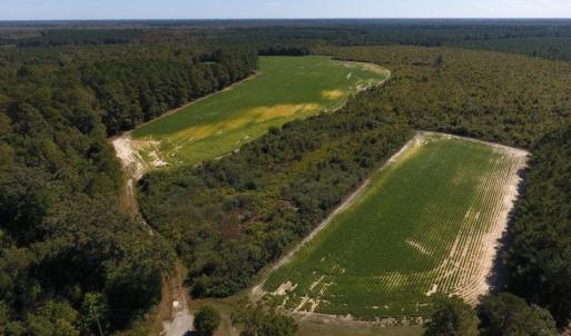 Photo of UNDER CONTRACT!  90.5 Acres of Farm and Hunting Land For Sale in Hertford County NC!