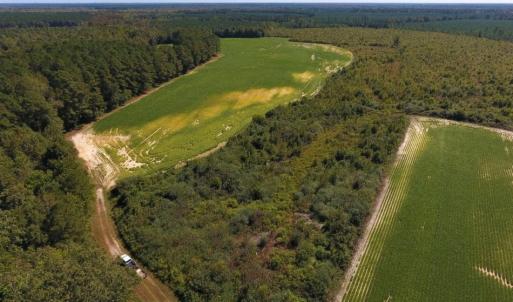 Photo of UNDER CONTRACT!  90.5 Acres of Farm and Hunting Land For Sale in Hertford County NC!