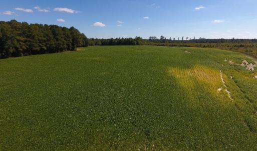 Photo of UNDER CONTRACT!  90.5 Acres of Farm and Hunting Land For Sale in Hertford County NC!