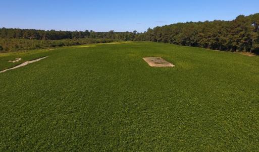 Photo of UNDER CONTRACT!  90.5 Acres of Farm and Hunting Land For Sale in Hertford County NC!
