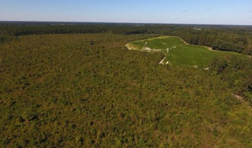 Photo of UNDER CONTRACT!  90.5 Acres of Farm and Hunting Land For Sale in Hertford County NC!