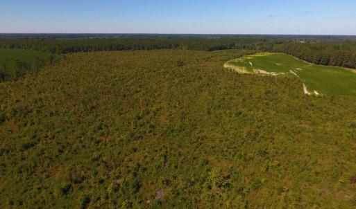 Photo of UNDER CONTRACT!  90.5 Acres of Farm and Hunting Land For Sale in Hertford County NC!