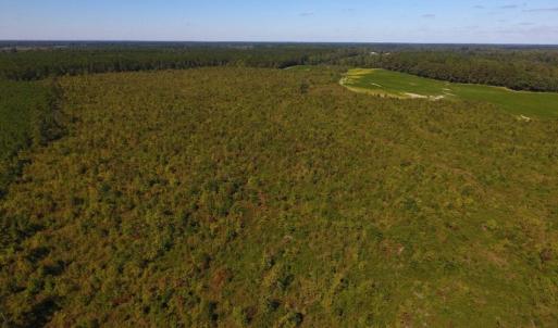 Photo of UNDER CONTRACT!  90.5 Acres of Farm and Hunting Land For Sale in Hertford County NC!