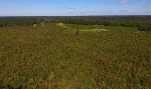 Photo of UNDER CONTRACT!  90.5 Acres of Farm and Hunting Land For Sale in Hertford County NC!