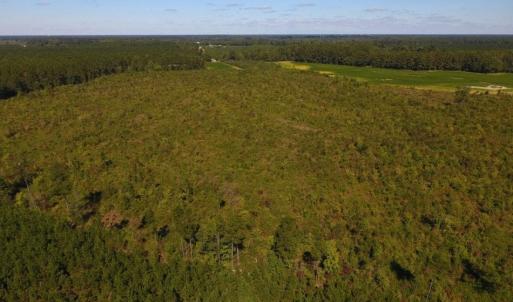 Photo of UNDER CONTRACT!  90.5 Acres of Farm and Hunting Land For Sale in Hertford County NC!