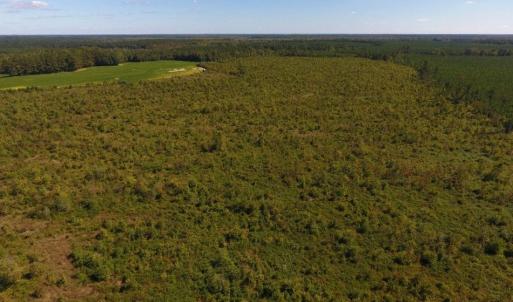 Photo of UNDER CONTRACT!  90.5 Acres of Farm and Hunting Land For Sale in Hertford County NC!