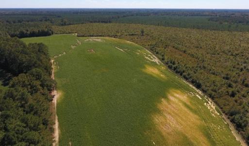 Photo of UNDER CONTRACT!  90.5 Acres of Farm and Hunting Land For Sale in Hertford County NC!