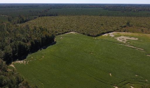 Photo of UNDER CONTRACT!  90.5 Acres of Farm and Hunting Land For Sale in Hertford County NC!