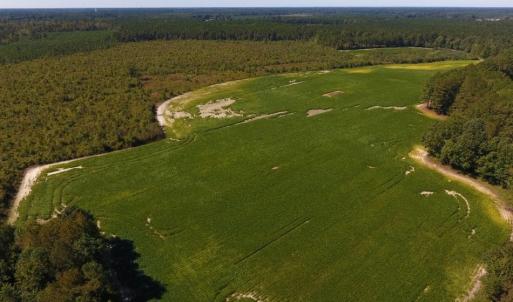 Photo of UNDER CONTRACT!  90.5 Acres of Farm and Hunting Land For Sale in Hertford County NC!