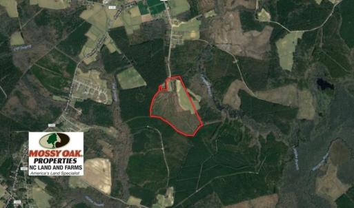 Photo of UNDER CONTRACT!  90.5 Acres of Farm and Hunting Land For Sale in Hertford County NC!