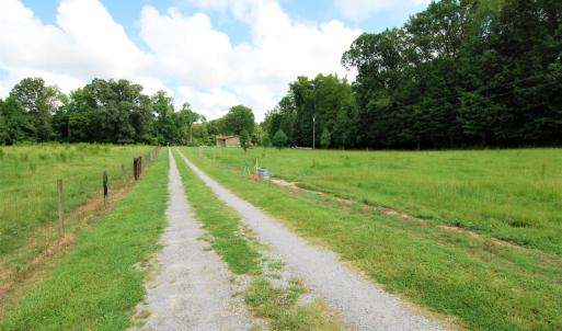 Photo of UNDER CONTRACT!  85 Acres of Farm Land For Sale in Pitt County NC!