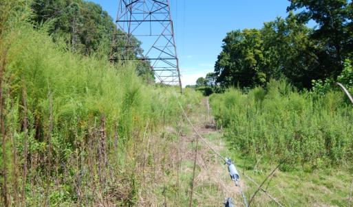 Photo of UNDER CONTRACT!  85 Acres of Farm Land For Sale in Pitt County NC!