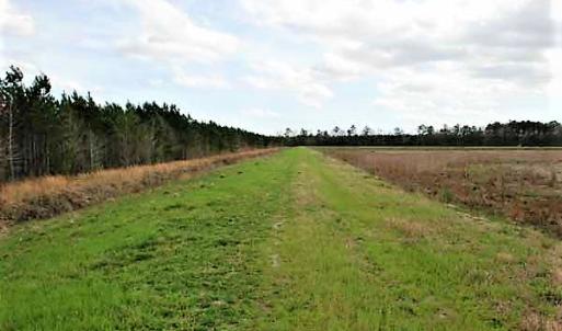 Photo of UNDER CONTRACT!  89 Acres of Aquaculture Farm Land For Sale In Craven County NC!
