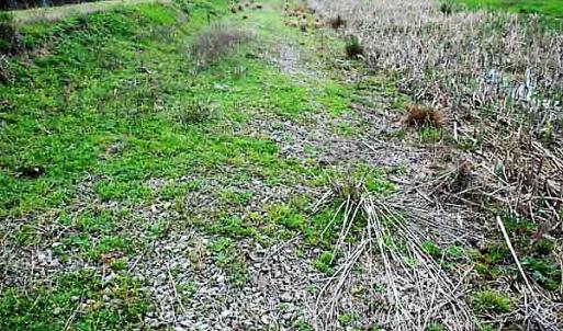 Photo of UNDER CONTRACT!  89 Acres of Aquaculture Farm Land For Sale In Craven County NC!