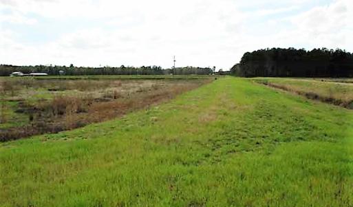 Photo of UNDER CONTRACT!  89 Acres of Aquaculture Farm Land For Sale In Craven County NC!