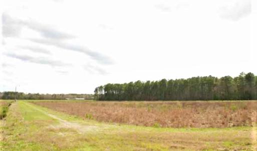 Photo of UNDER CONTRACT!  89 Acres of Aquaculture Farm Land For Sale In Craven County NC!