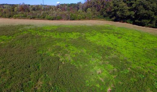 Photo of SOLD!!  118 Acre Livestock Farming Operation for Sale in Nash County NC!