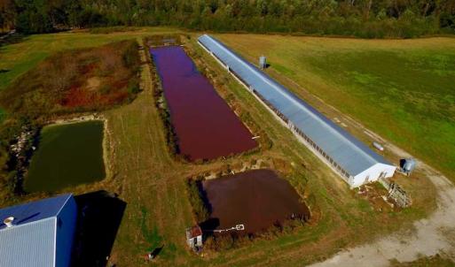 Photo of SOLD!!  118 Acre Livestock Farming Operation for Sale in Nash County NC!