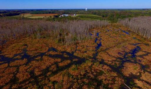 Photo of SOLD!!  118 Acre Livestock Farming Operation for Sale in Nash County NC!