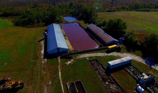 Photo of SOLD!!  118 Acre Livestock Farming Operation for Sale in Nash County NC!