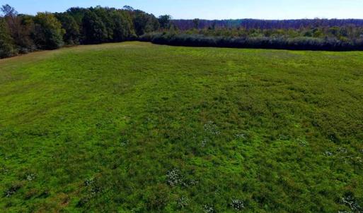 Photo of SOLD!!  118 Acre Livestock Farming Operation for Sale in Nash County NC!