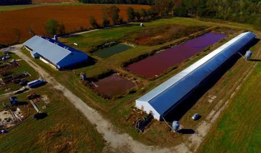 Photo of SOLD!!  118 Acre Livestock Farming Operation for Sale in Nash County NC!