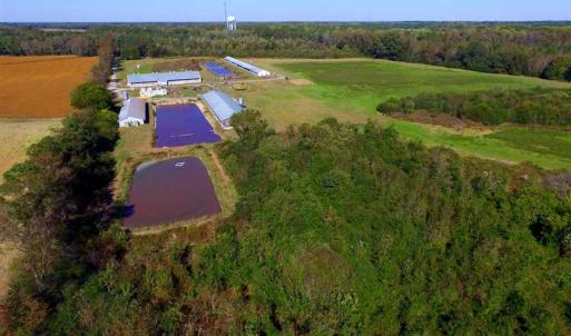 Photo of SOLD!!  118 Acre Livestock Farming Operation for Sale in Nash County NC!