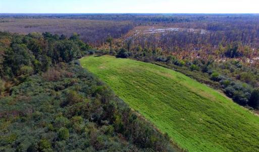 Photo of SOLD!!  118 Acre Livestock Farming Operation for Sale in Nash County NC!