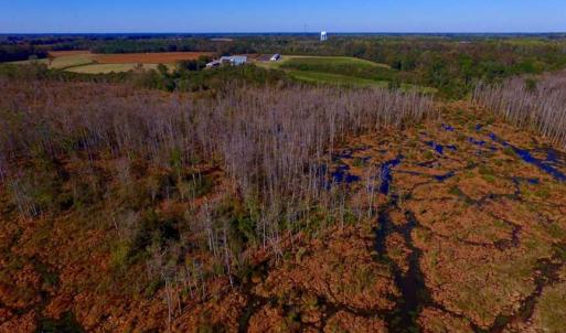 Photo of SOLD!!  118 Acre Livestock Farming Operation for Sale in Nash County NC!