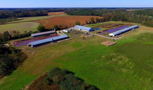 Photo of SOLD!!  118 Acre Livestock Farming Operation for Sale in Nash County NC!