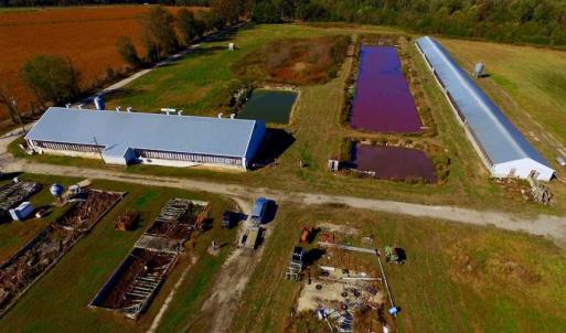Photo of SOLD!!  118 Acre Livestock Farming Operation for Sale in Nash County NC!