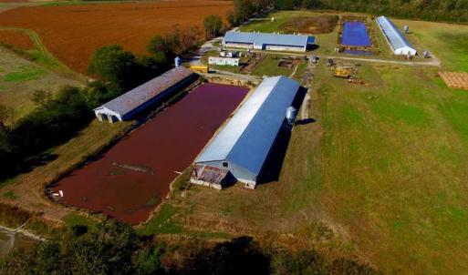 Photo of SOLD!!  118 Acre Livestock Farming Operation for Sale in Nash County NC!