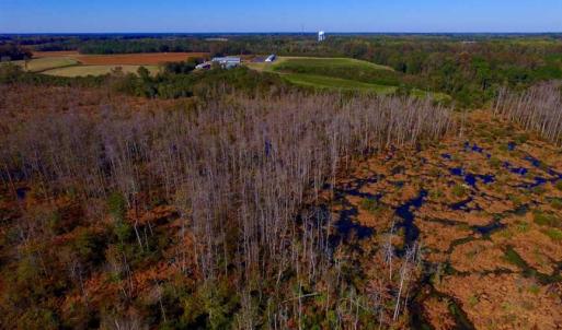 Photo of SOLD!!  118 Acre Livestock Farming Operation for Sale in Nash County NC!