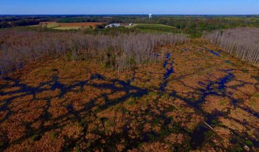 Photo of SOLD!!  118 Acre Livestock Farming Operation for Sale in Nash County NC!