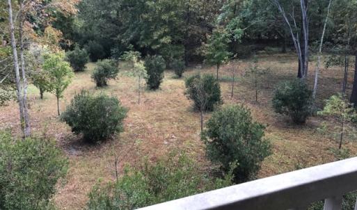 Photo of SOLD!  5.6 Acre Waterfront Lot with Home For Sale in Camden County NC!