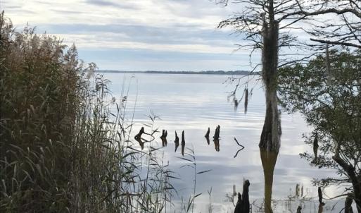 Photo of SOLD!  5.6 Acre Waterfront Lot with Home For Sale in Camden County NC!
