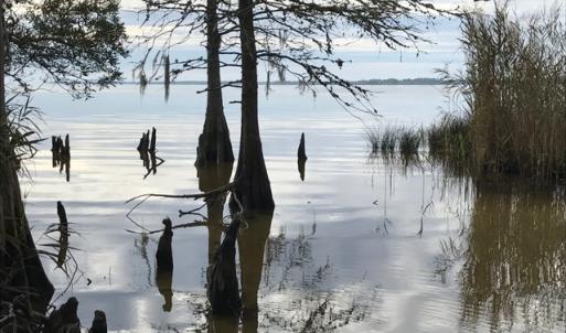 Photo of SOLD!  5.6 Acre Waterfront Lot with Home For Sale in Camden County NC!
