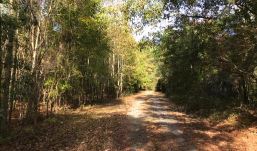 Photo of SOLD!  5.6 Acre Waterfront Lot with Home For Sale in Camden County NC!