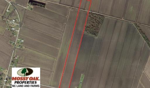 Photo of SOLD!  25 Acres of Farmland For Sale in Hyde County NC!