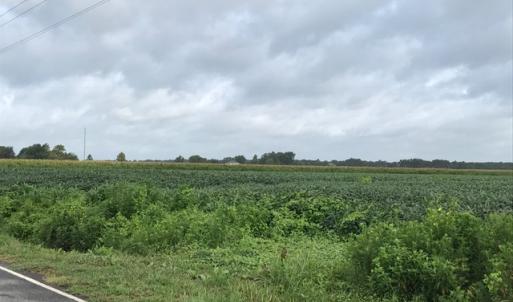 Photo of SOLD!  25 Acres of Farmland For Sale in Hyde County NC!
